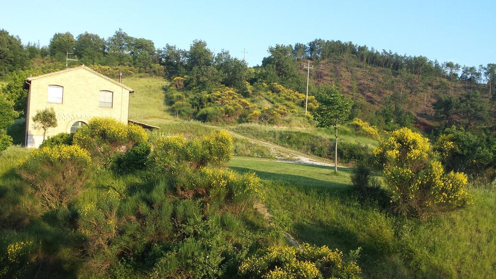 Agriturismo Serracanina Cagli Zimmer foto
